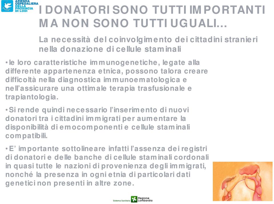 Si rende quindi necessario l inserimento di nuovi donatori tra i cittadini immigrati per aumentare la disponibilità di emocomponenti e cellule staminali compatibili.