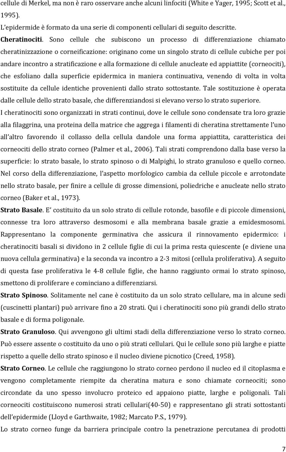 Sono cellule che subiscono un processo di differenziazione chiamato cheratinizzazione o corneificazione: originano come un singolo strato di cellule cubiche per poi andare incontro a stratificazione