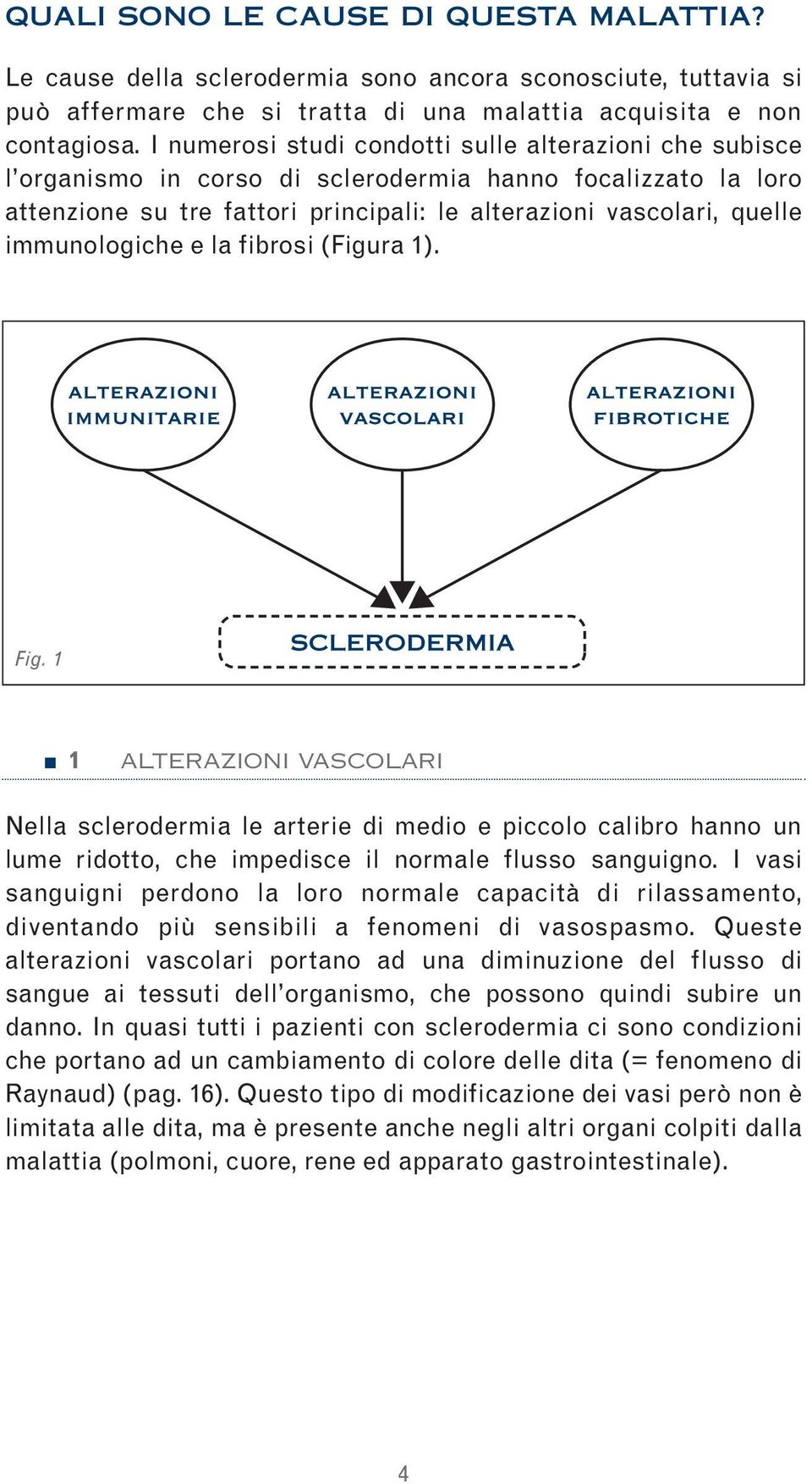 immunologiche e la fibrosi (Figura 1). Fig. 1 1 ALTERAZIONI VASCOLARI Nella sclerodermia le arterie di medio e piccolo calibro hanno un lume ridotto, che impedisce il normale flusso sanguigno.