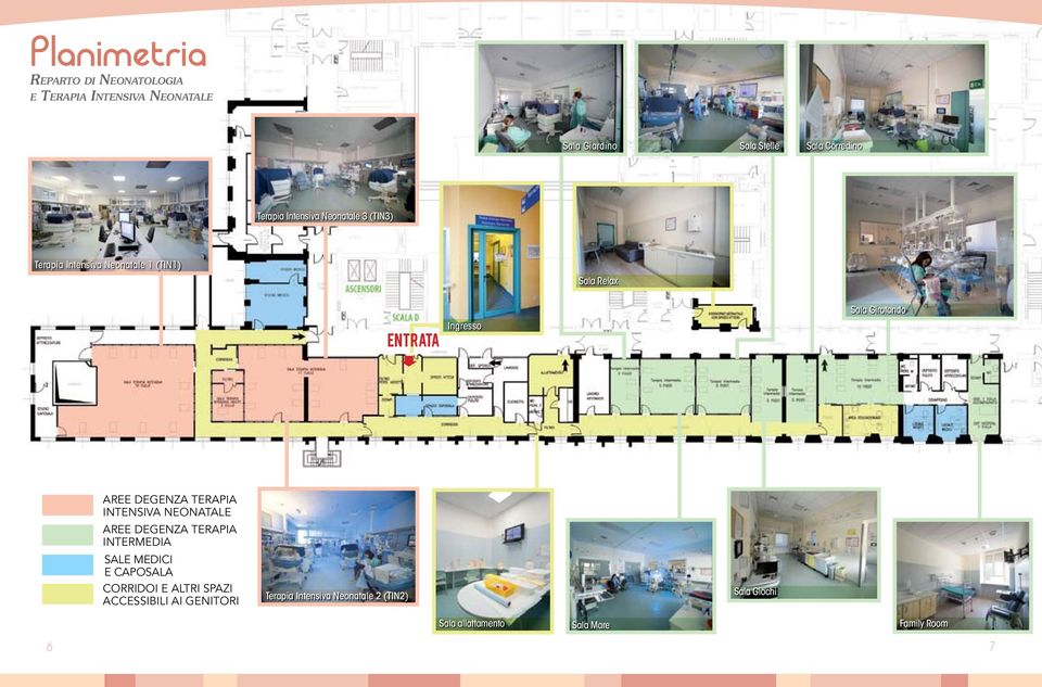 degenza TERAPIA intensiva neonatale AREE degenza TERAPIA intermedia sale medici e caposala Corridoi e altri spazi