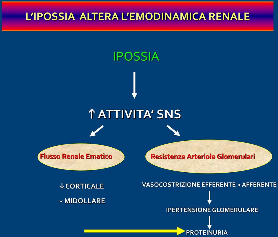 Arteriole Glomerulari CORTICALE MIDOLLARE