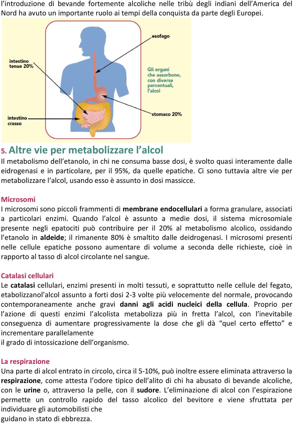 Ci sono tuttavia altre vie per metabolizzare l alcol, usando esso è assunto in dosi massicce.