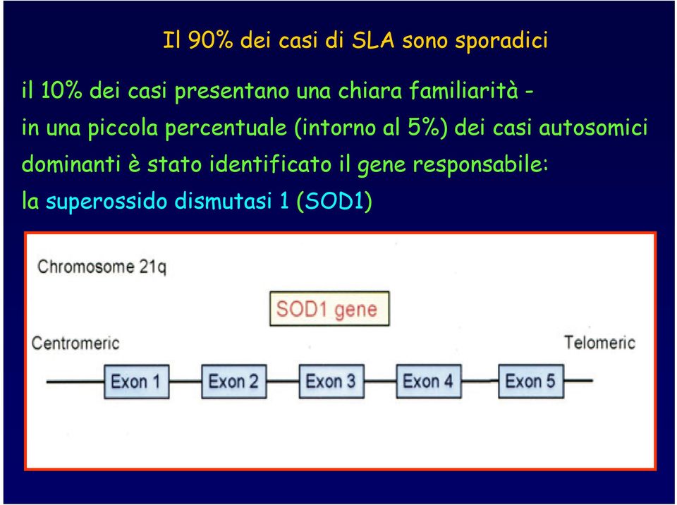 percentuale (intorno al 5%) dei casi autosomici dominanti è