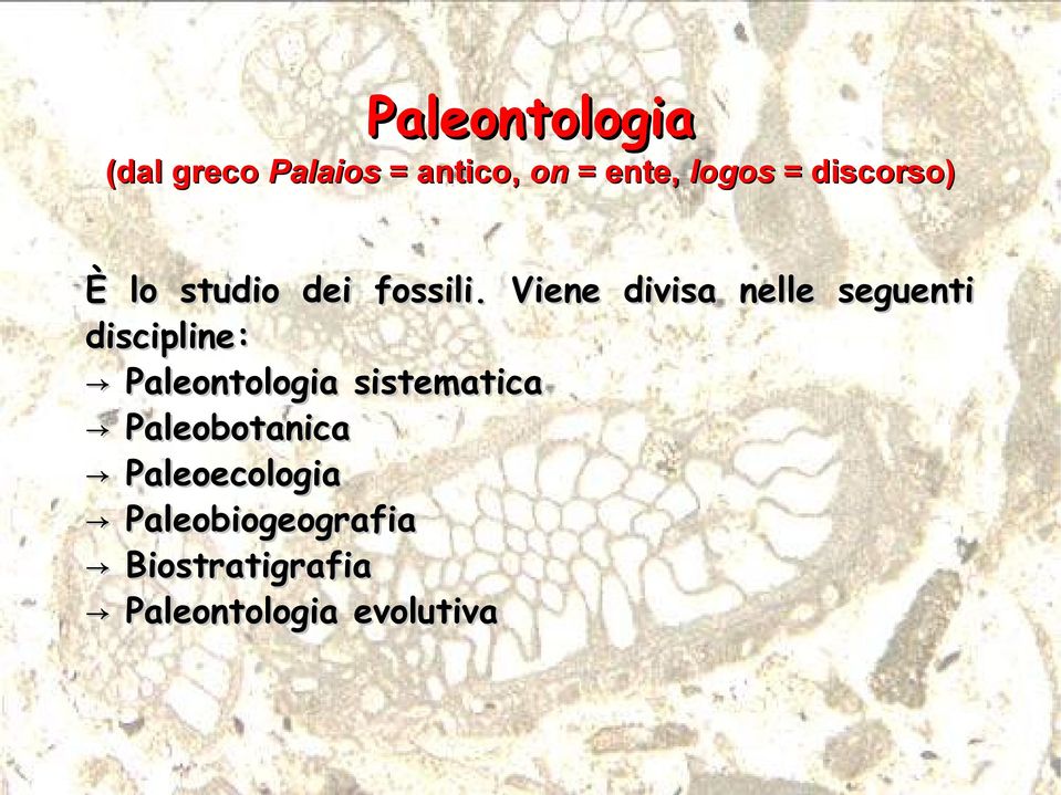 Viene divisa nelle seguenti discipline: Paleontologia
