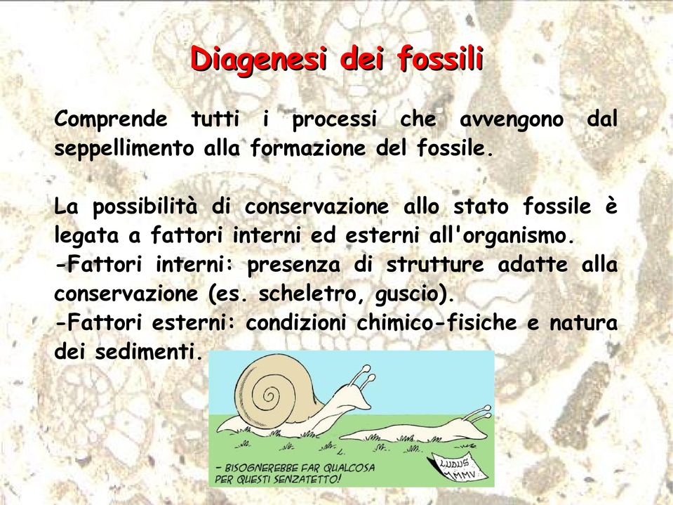 dal La possibilità di conservazione allo stato fossile è legata a fattori interni ed esterni