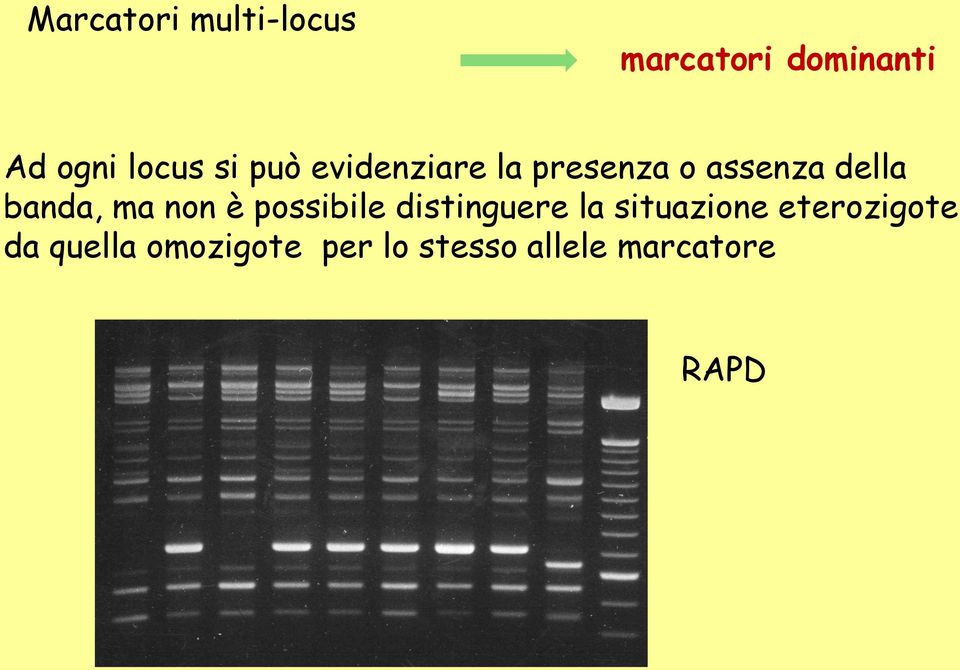 ma non è possibile distinguere la situazione