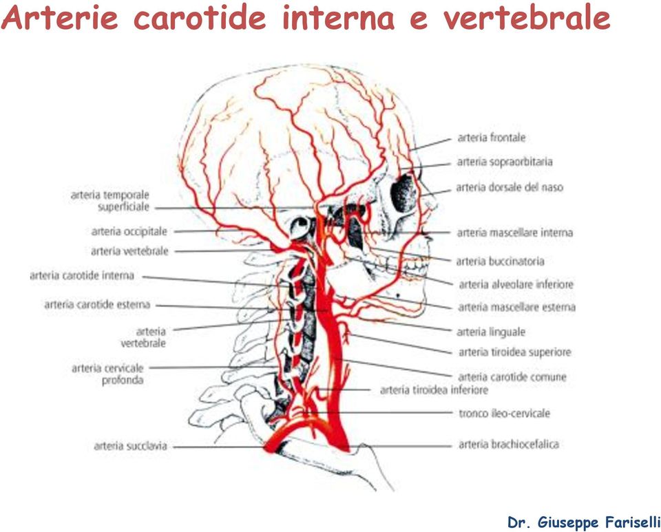 interna e