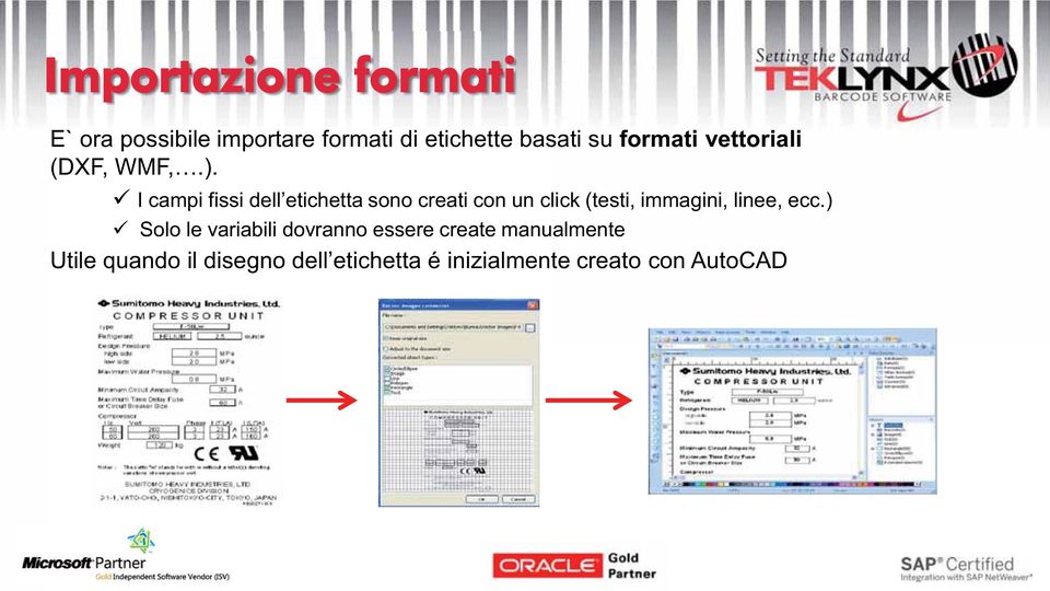 I campi fissi dell etichetta sono creati con un click (testi, immagini, linee,