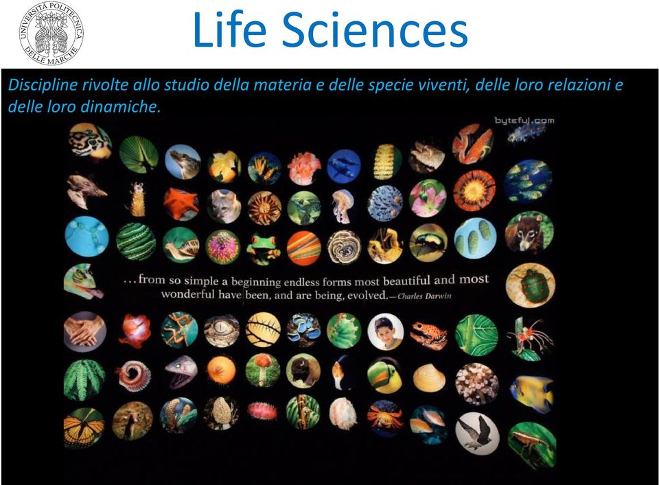 materia e delle specie viventi,