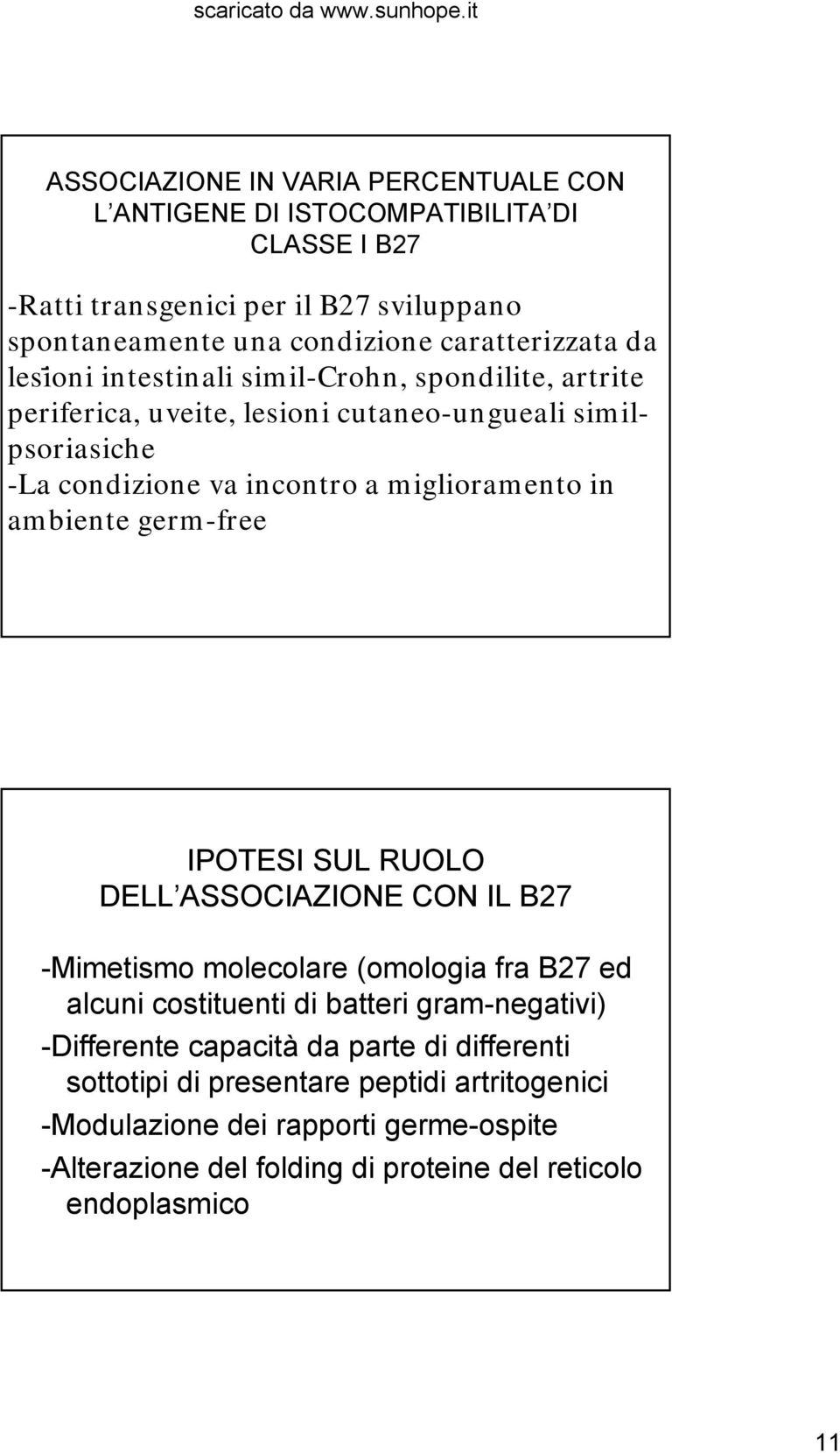 ambiente germ-free IPOTESI SUL RUOLO DELL ASSOCIAZIONE CON IL B27 -Mimetismo molecolare (omologia fra B27 ed alcuni costituenti di batteri gram-negativi) -Differente