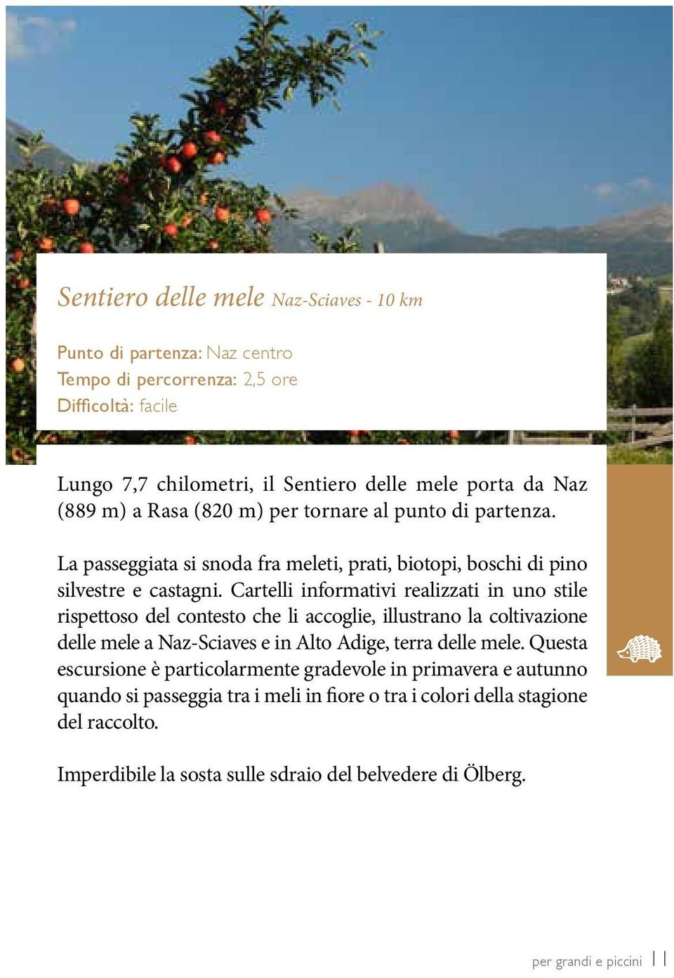 Cartelli informativi realizzati in uno stile rispettoso del contesto che li accoglie, illustrano la coltivazione delle mele a Naz-Sciaves e in Alto Adige, terra delle mele.