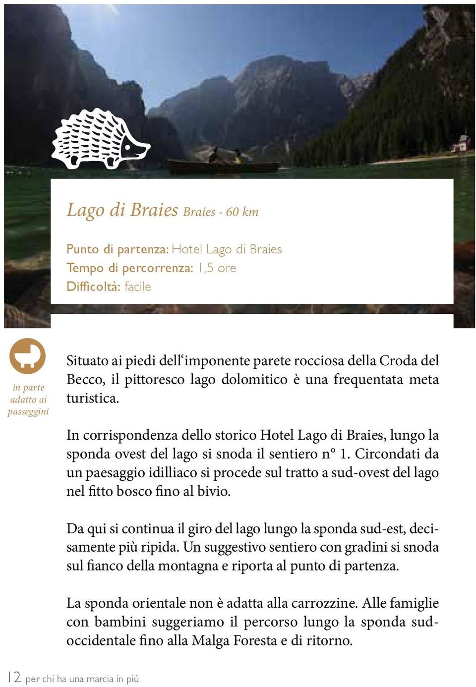 Circondati da un paesaggio idilliaco si procede sul tratto a sud-ovest del lago nel fitto bosco fino al bivio. 12 Da qui si continua il giro del lago lungo la sponda sud-est, decisamente più ripida.