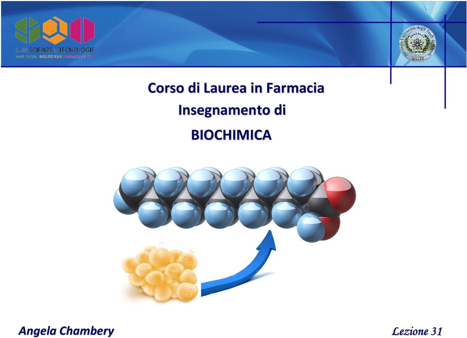 Insegnamento di