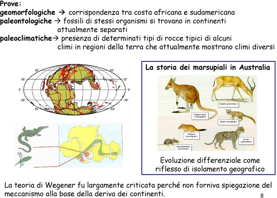 che attualmente mostrano climi diversi La storia dei marsupiali in Australia Evoluzione differenziale come riflesso di isolamento