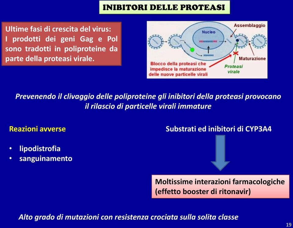 INIBITORI DELLE PROTEASI Prevenendo il clivaggio delle poliproteine gli inibitori della proteasi provocano il rilascio di