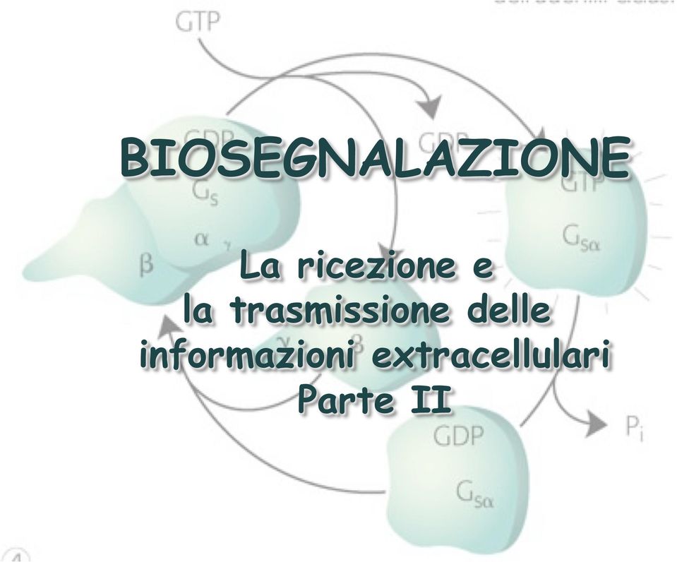 trasmissione delle