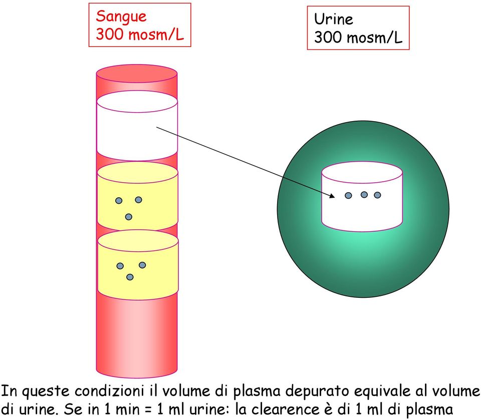 equivale al volume di urine.