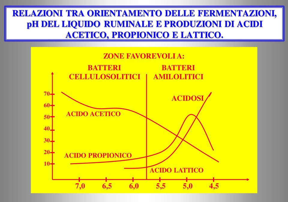 ZONE FAVOREVOLI A: BATTERI CELLULOSOLITICI BATTERI AMILOLITICI 70 60 50