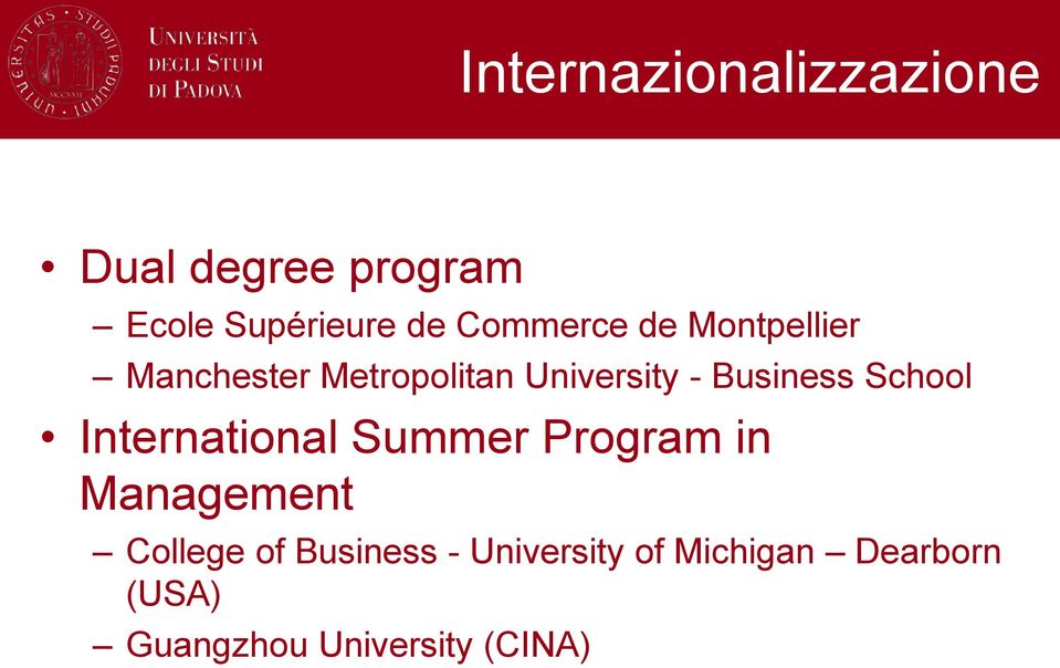 Business School International Summer Program in Management College