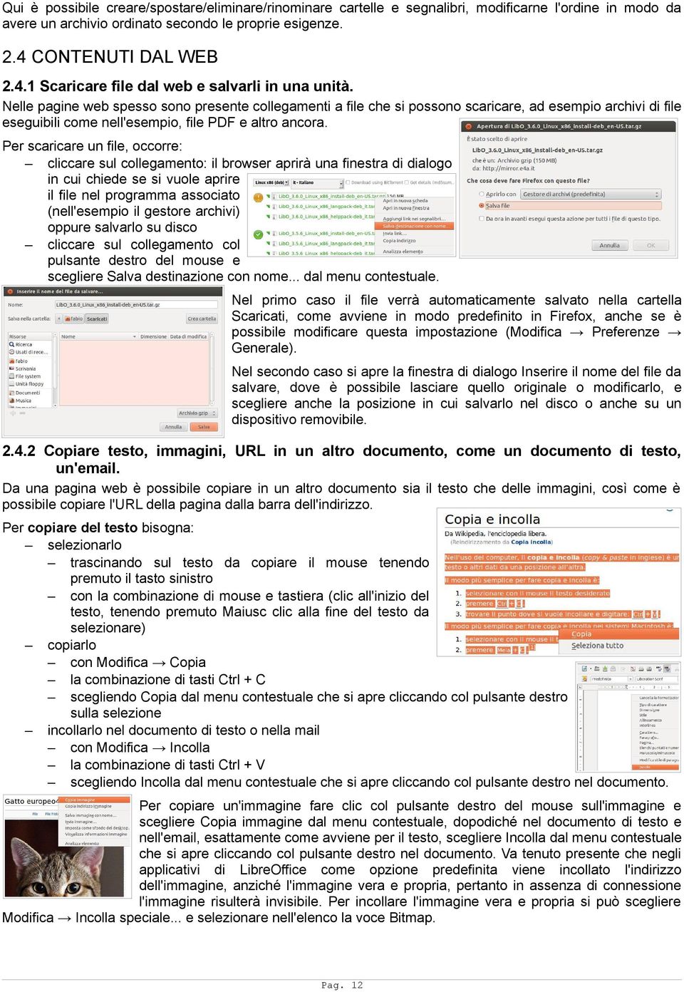 Nelle pagine web spesso sono presente collegamenti a file che si possono scaricare, ad esempio archivi di file eseguibili come nell'esempio, file PDF e altro ancora.