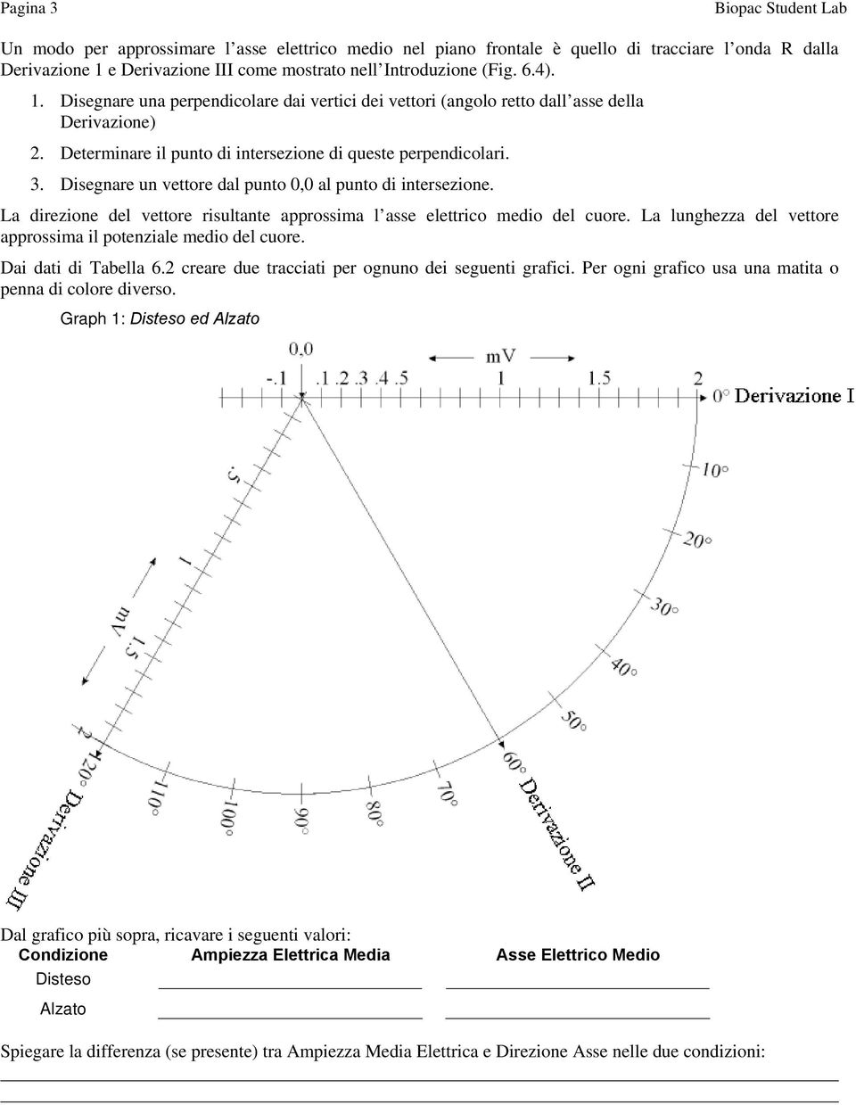 Disegnare un vettore dal punto 0,0 al punto di intersezione. La direzione del vettore risultante approssima l asse elettrico medio del cuore.