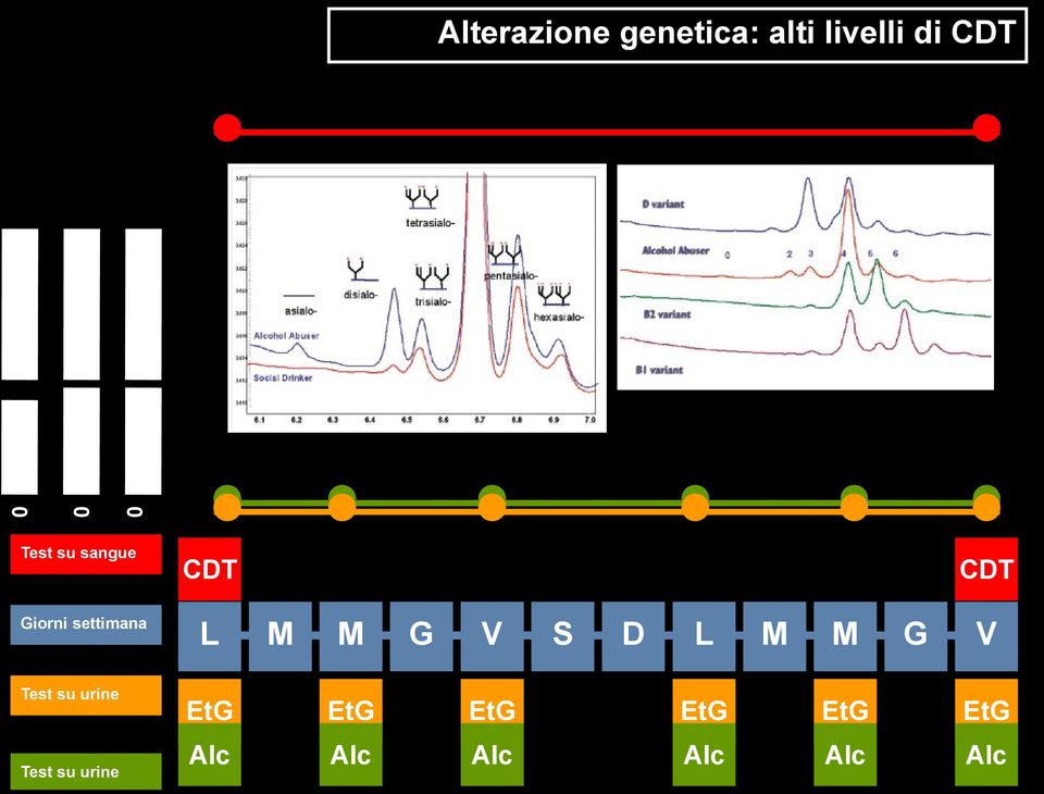 Giorni days settimana Urine Test su Testing urine Test su urine ML MT