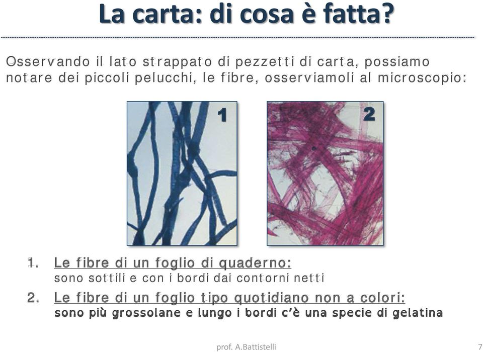 pelucchi, le fibre, osserviamoli al microscopio: 1 2 1.