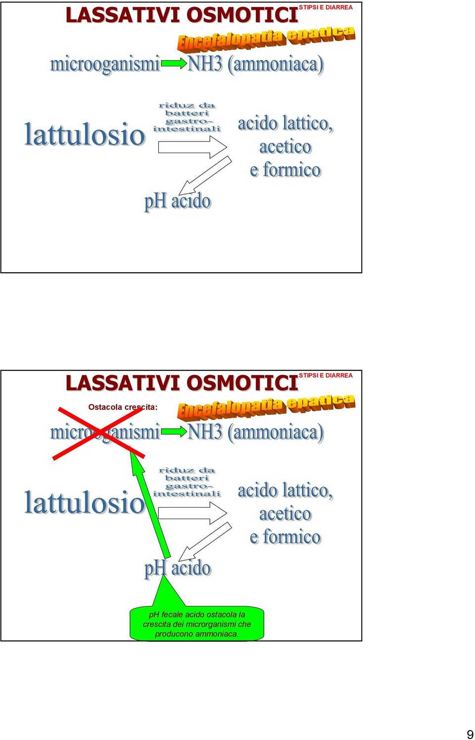 ostacola la crescita dei microrganismi che