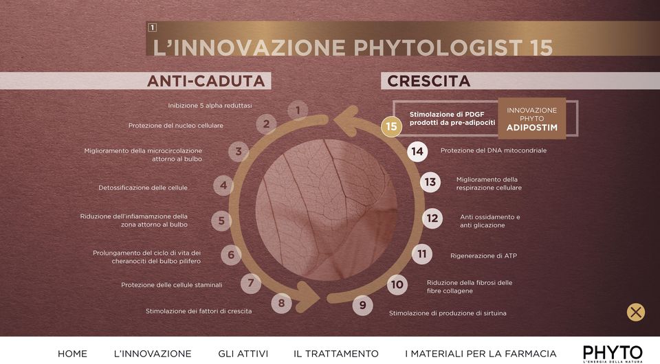 cellulare Riduzione dell infiamamzione della zona attorno al bulbo 5 12 Anti ossidamento e anti glicazione Prolungamento del ciclo di vita dei cheranociti del bulbo pilifero 6 11