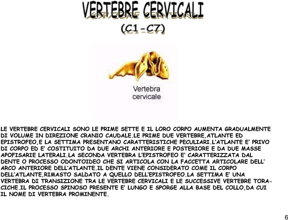 L ATLANTE ATLANTE E E PRIVO DI CORPO ED E E COSTITUITO DA DUE ARCHI ANTERIORE E POSTERIORE E DA DUE MASSE APOFISARIE LATERALI.