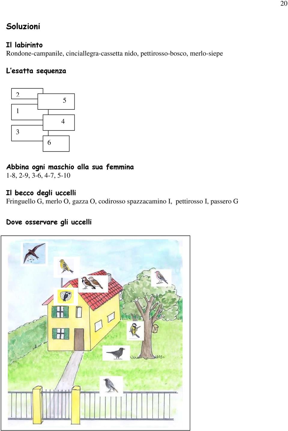 alla sua femmina 1-8, 2-9, 3-6, 4-7, 5-10 Il becco degli uccelli Fringuello G,