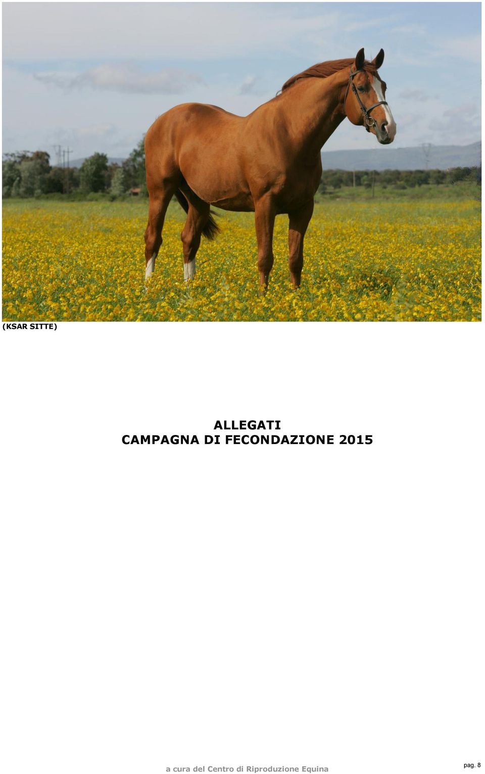 CAMPAGNA DI