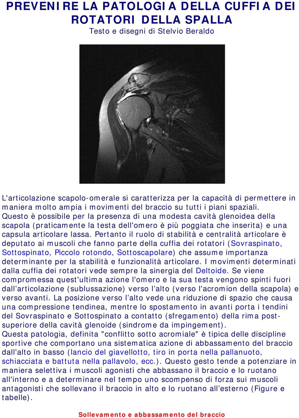 Questo è possibile per la presenza di una modesta cavità glenoidea della scapola (praticamente la testa dell'omero è più poggiata che inserita) e una capsula articolare lassa.