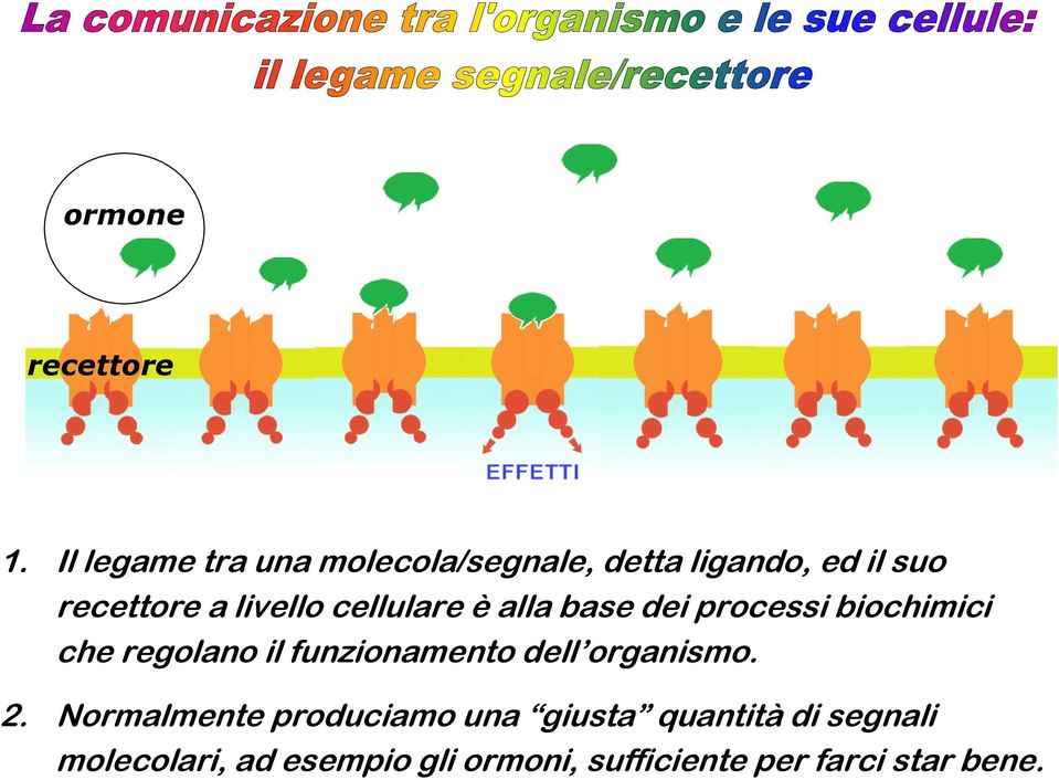 livello cellulare è alla base dei processi biochimici che regolano il