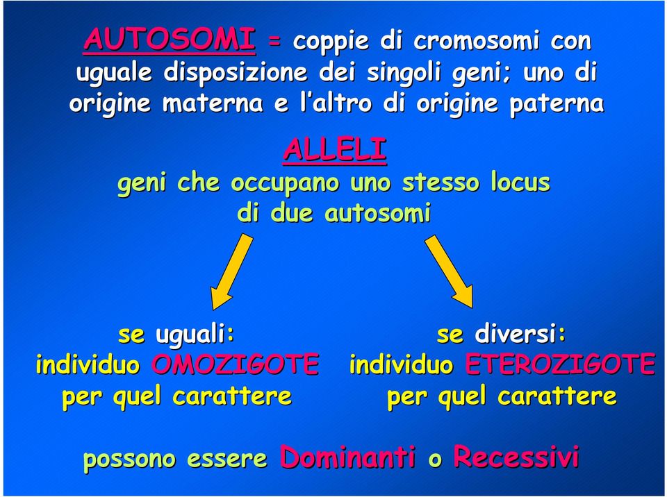 locus di due autosomi se uguali: individuo OMOZIGOTE per quel carattere se