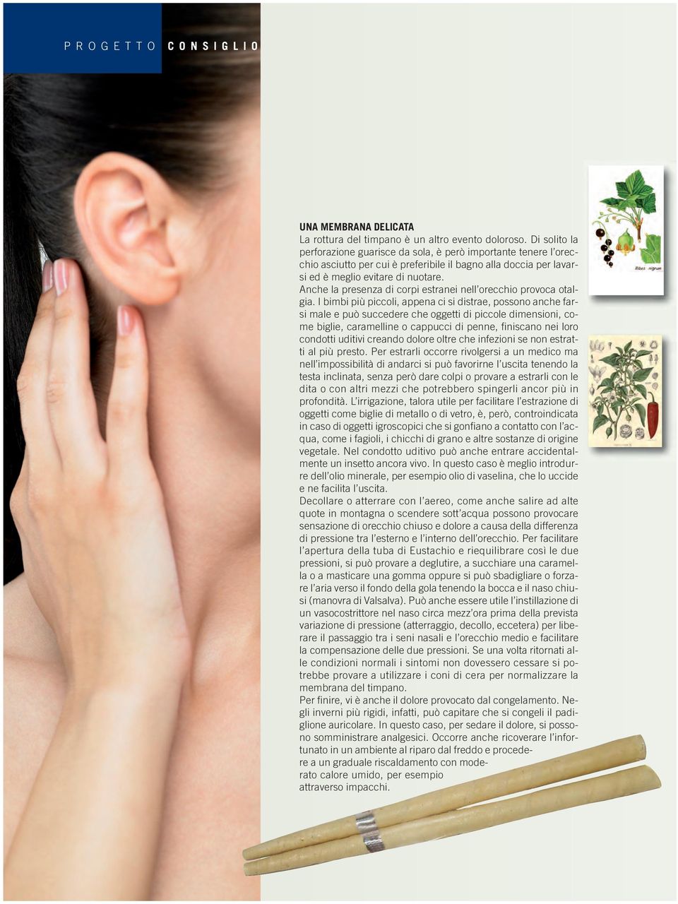 Anche la presenza di corpi estranei nell orecchio provoca otalgia.