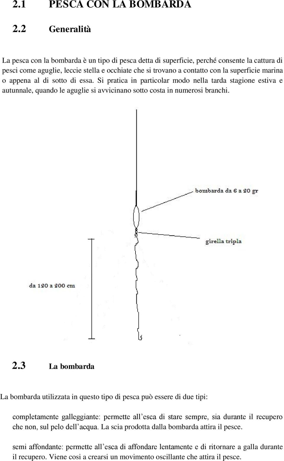 marina o appena al di sotto di essa. Si pratica in particolar modo nella tarda stagione estiva e autunnale, quando le aguglie si avvicinano sotto costa in numerosi branchi. 2.