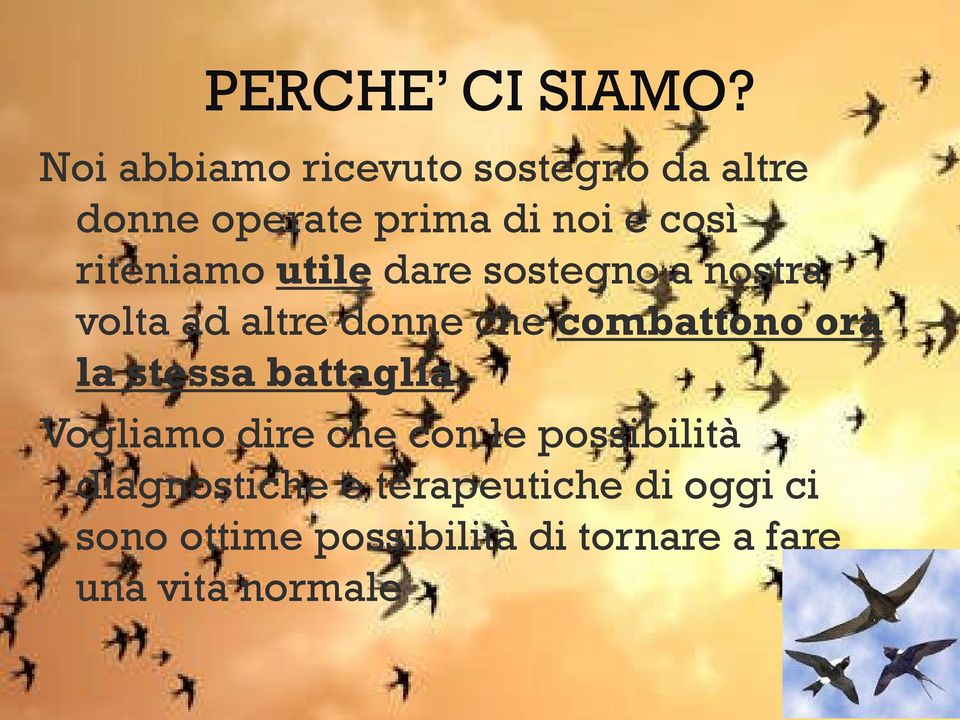 riteniamo utile dare sostegno a nostra volta ad altre donne che combattono ora