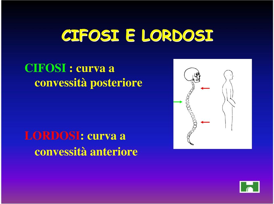 posteriore LORDOSI