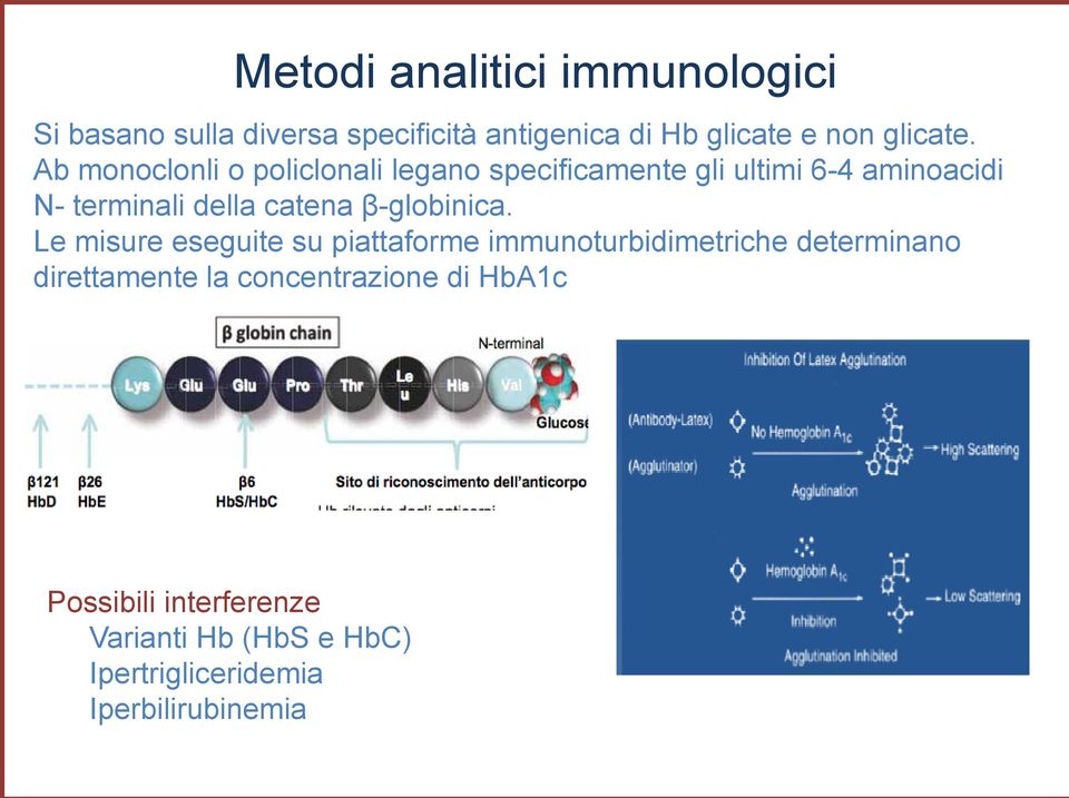 Ab monoclonli o policlonali legano specificamente gli ultimi 6-4 aminoacidi N- terminali della catena