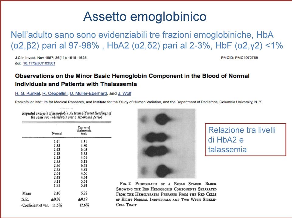 (α2,β2) pari al 97-98%, HbA2 (α2,δ2) pari al