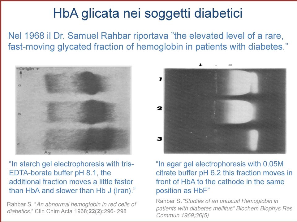 In starch gel electrophoresis with tris- EDTA-borate buffer ph 8.1, the additional fraction moves a little faster than HbA and slower than Hb J (Iran). Rahbar S.