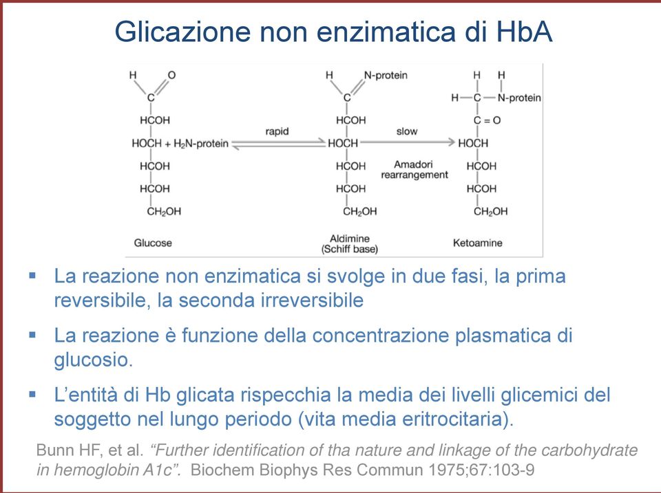 L entità di Hb glicata rispecchia la media dei livelli glicemici del soggetto nel lungo periodo (vita media