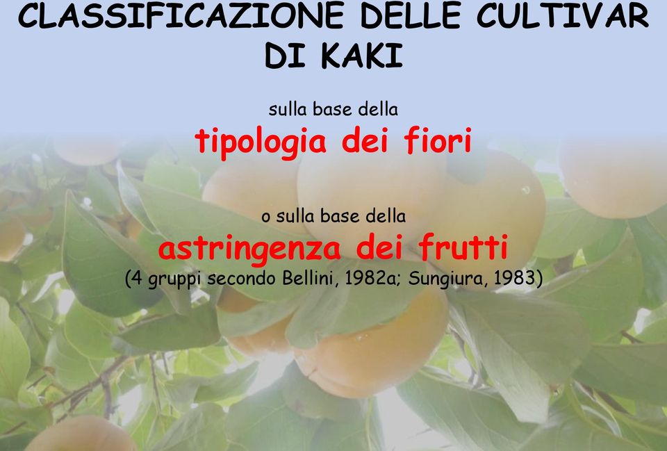 sulla base della astringenza dei frutti