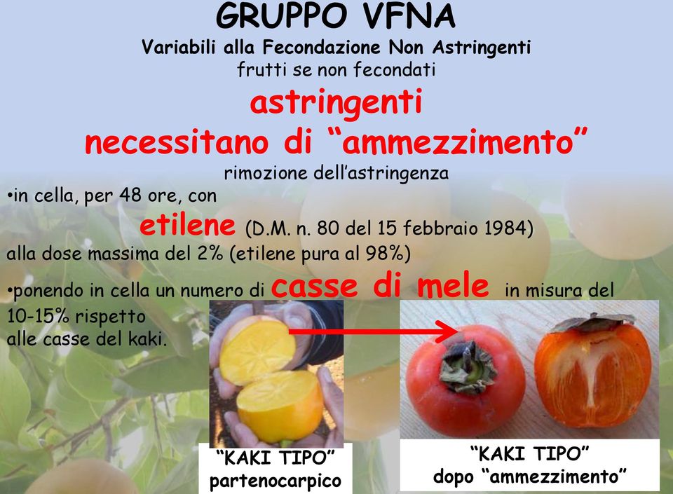 80 del 15 febbraio 1984) alla dose massima del 2% (etilene pura al 98%) ponendo in cella un numero di