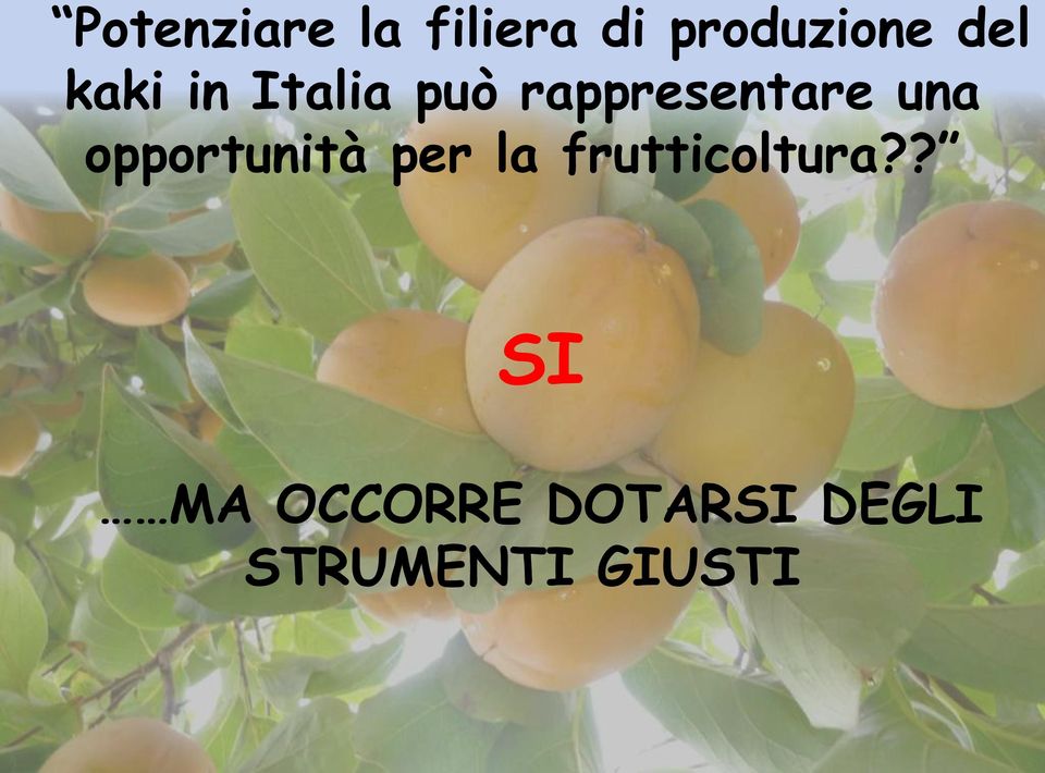 una opportunità per la frutticoltura?