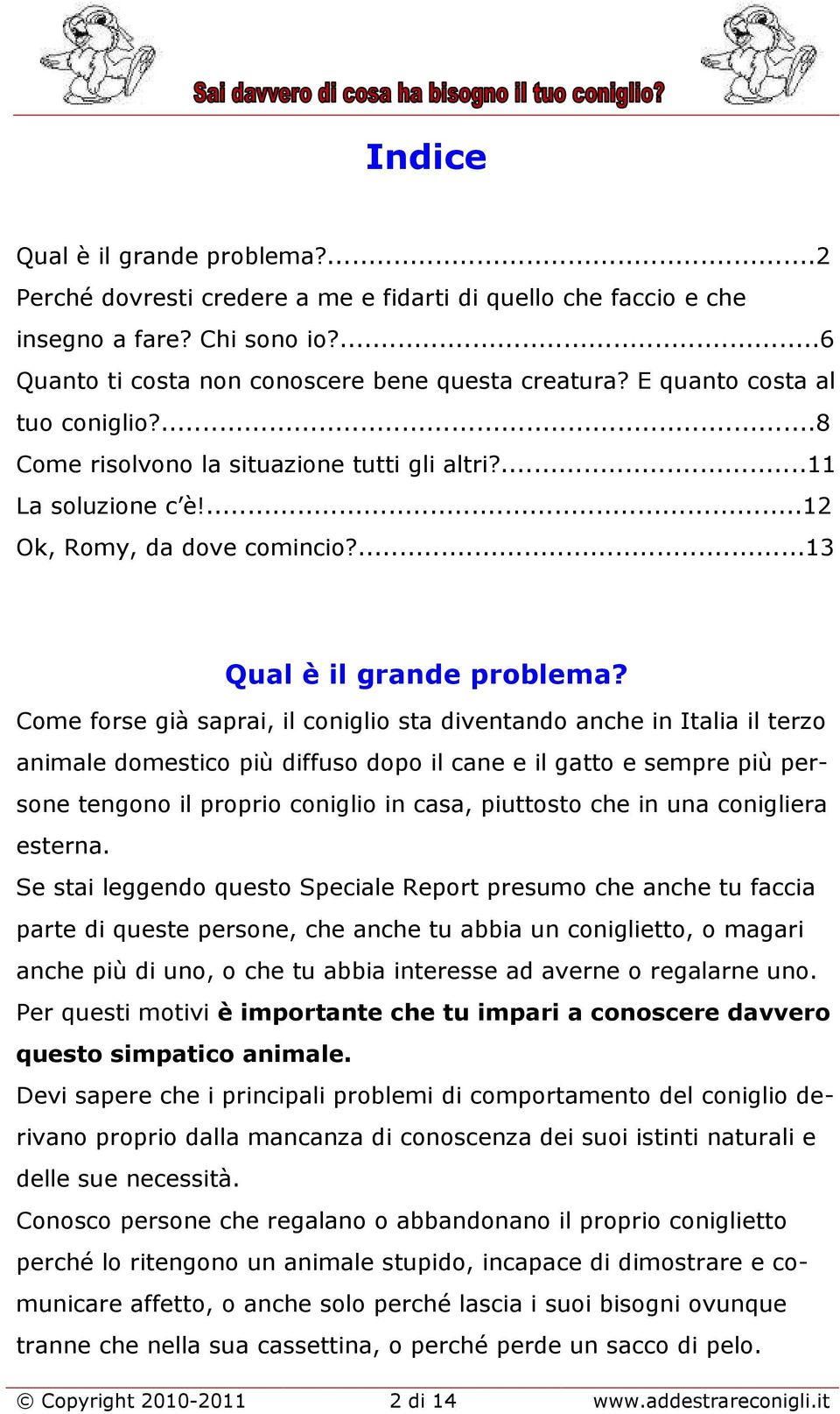 Come forse già saprai, il coniglio sta diventando anche in Italia il terzo animale domestico più diffuso dopo il cane e il gatto e sempre più persone tengono il proprio coniglio in casa, piuttosto