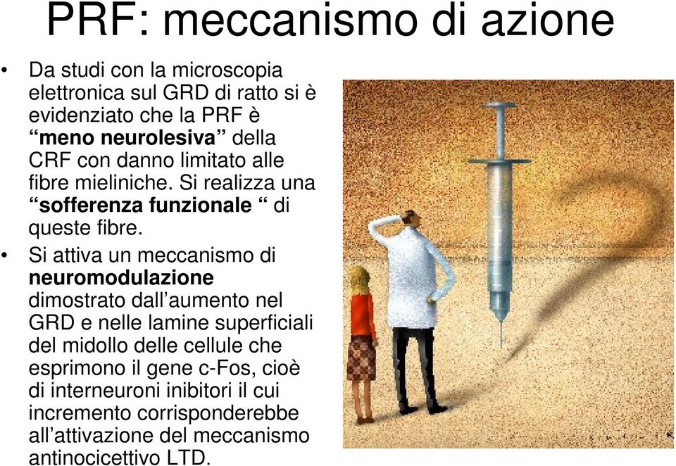 Si attiva un meccanismo di neuromodulazione dimostrato dall aumento nel GRD e nelle lamine superficiali del midollo delle