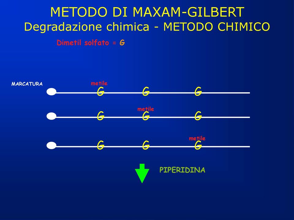 CHIMICO Dimetil solfato = G