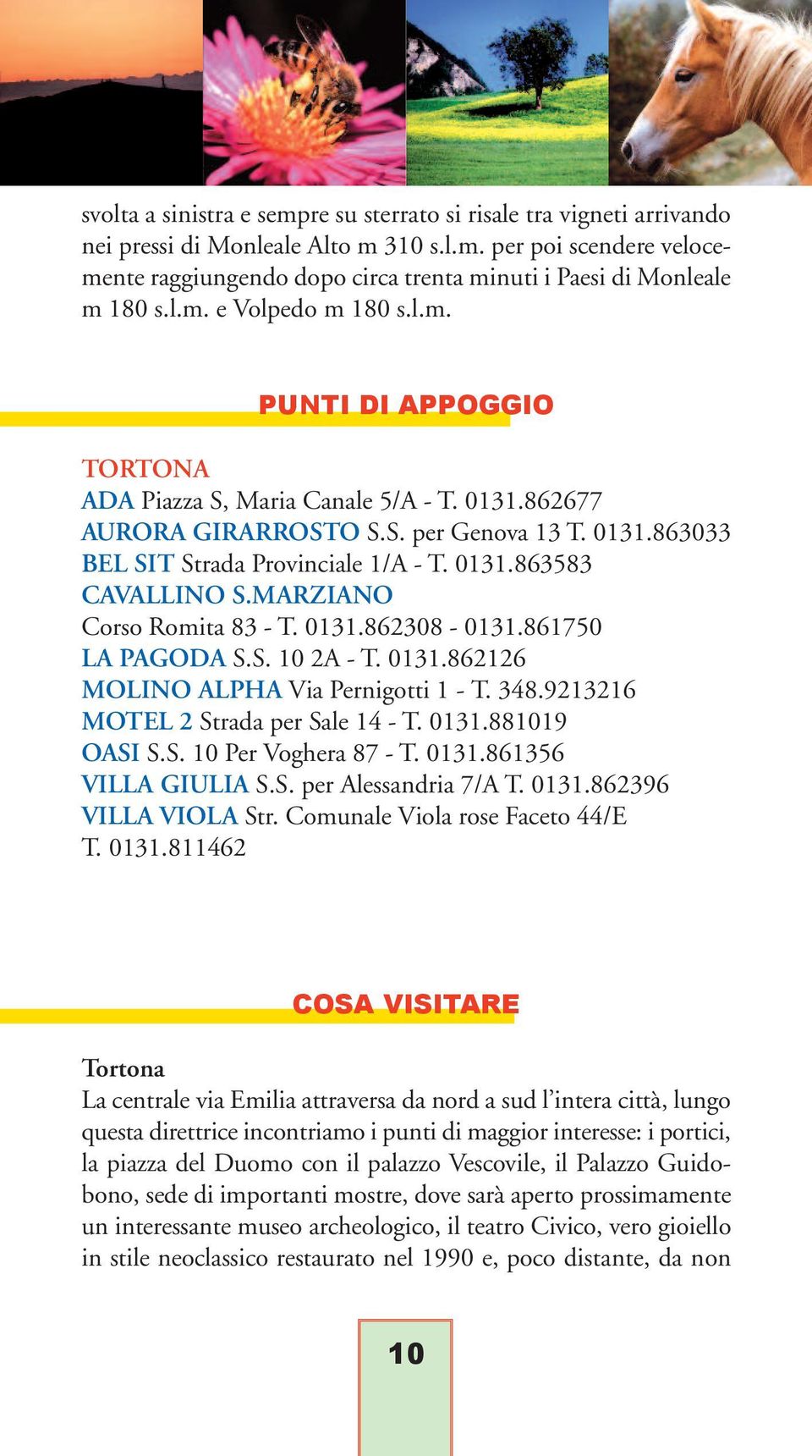 MARZIANO Corso Romita 83 - T. 0131.862308-0131.861750 LA PAGODA S.S. 10 2A - T. 0131.862126 MOLINO ALPHA Via Pernigotti 1 - T. 348.9213216 MOTEL 2 Strada per Sale 14 - T. 0131.881019 OASI S.S. 10 Per Voghera 87 - T.